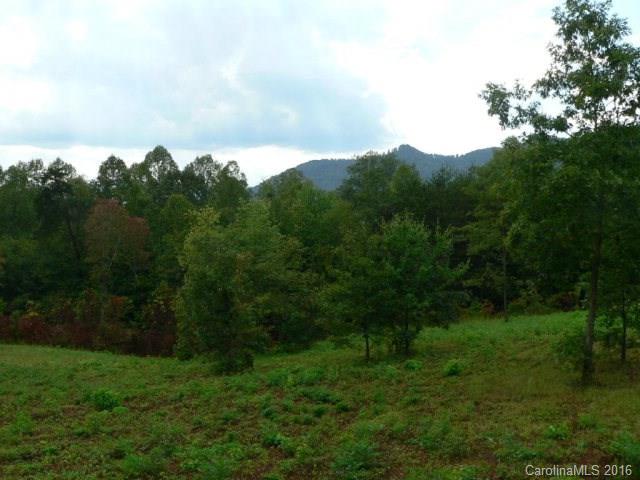 0 Sunshine Acres Road, Unit 14 Sylva, NC 28779 - Photo 2 of 9 Gallery Image 2