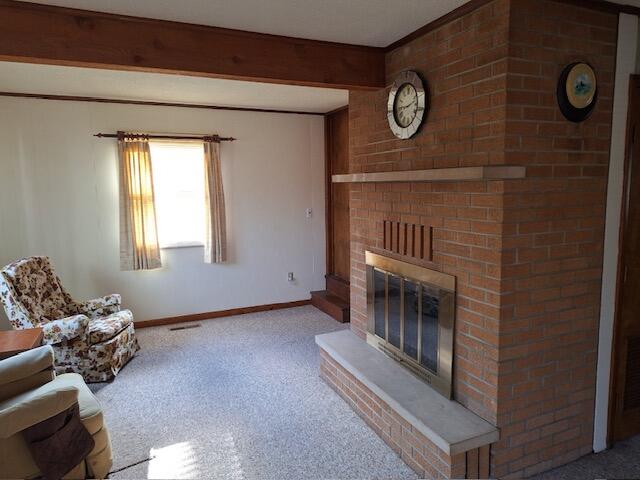 3600 Old State Road Mio, MI 48647 - Photo 3 of 20 Gallery Image 3