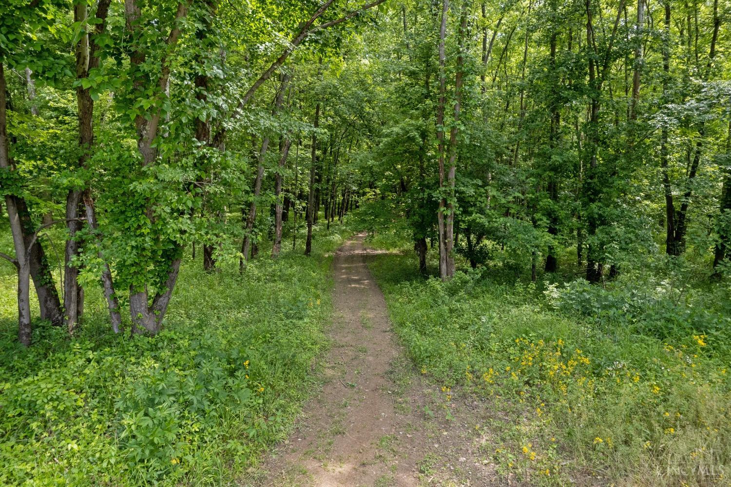 0 South Elizabeth Street Ripley, OH 45167 - Photo 14 of 18