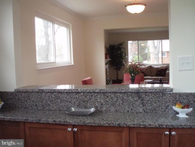 11015 Cone Lane Silver Spring, MD 20902 - Photo 7 of 10 Kitchen #3