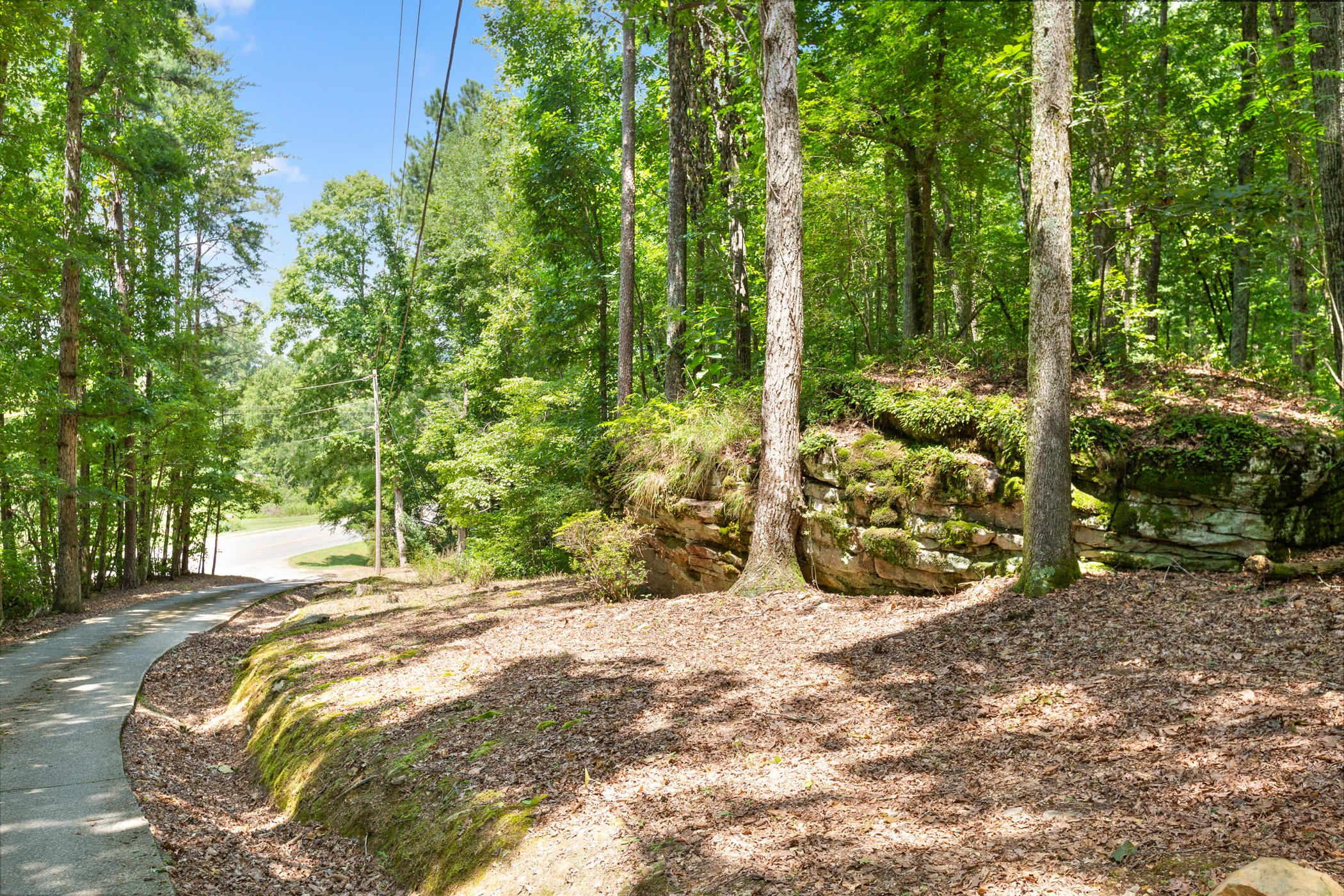 2790 Salem Valley Road Ringgold, GA 30736 - Photo 35 of 43 Driveway