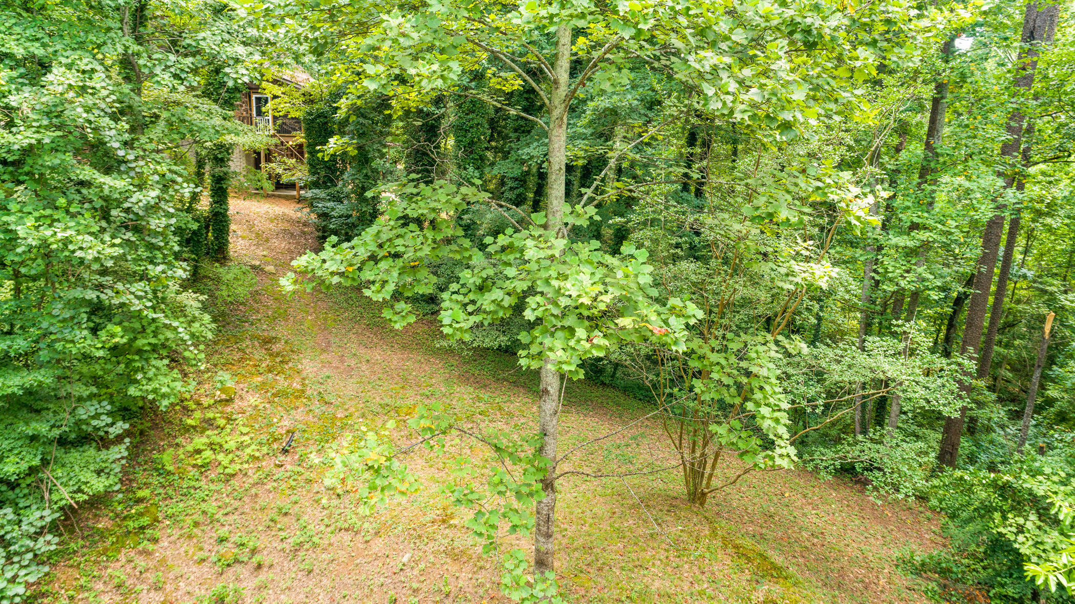 2790 Salem Valley Road Ringgold, GA 30736 - Photo 40 of 43 Aerial
