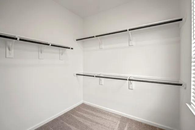 a view of a backyard with a potted plant and wooden fence