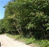 3500 West Madison Road Hart, MI 49420 - Photo 2 of 4 Additional Photo