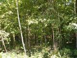 3500 West Madison Road Hart, MI 49420 - Photo 3 of 4 Additional Photo