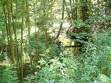 3500 West Madison Road Hart, MI 49420 - Photo 4 of 4 Additional Photo