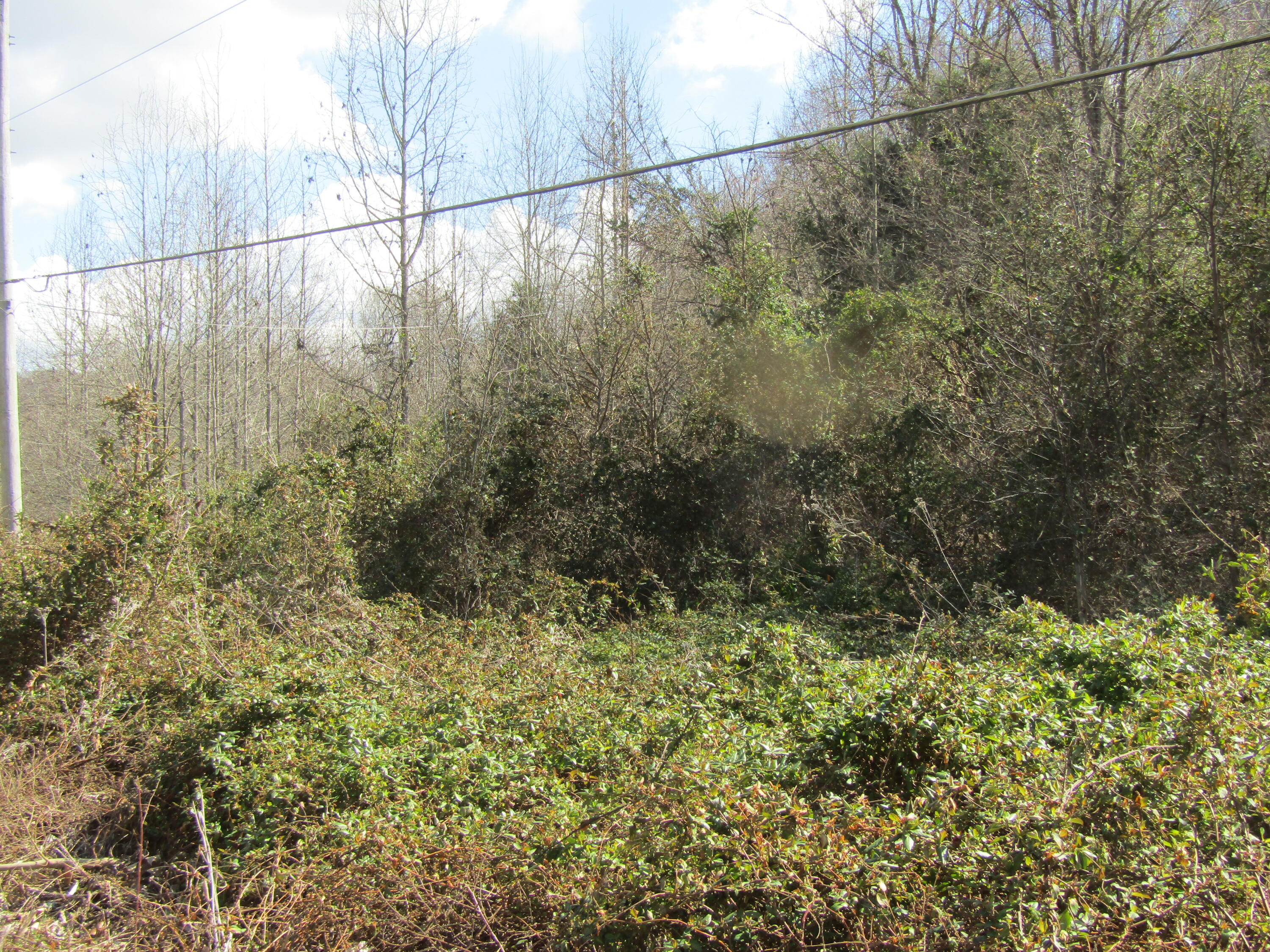 Lot #8 Davis Valley Road, Unit 8 Afton, TN 37616 - Photo 1 of 5 8,9,10,11 (2)