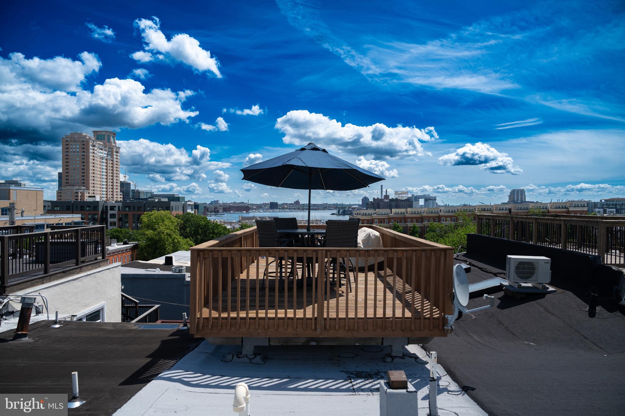 1229 Riverside Avenue Baltimore, MD 21230 - Photo 66 of 81 Rooftop oasis