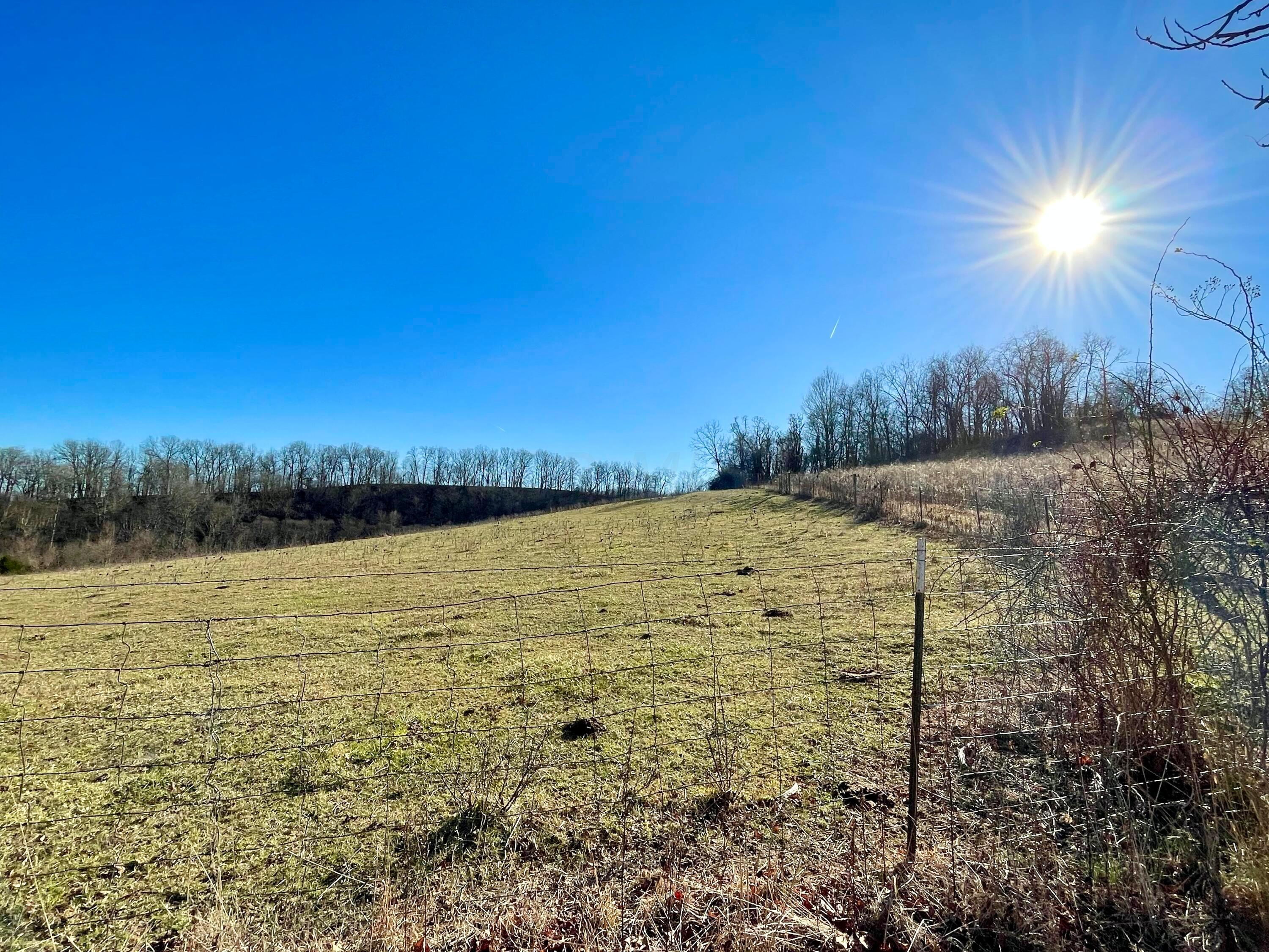 1368 Allen Road Beaver, OH 45613 - Photo 65 of 77 Pasture.