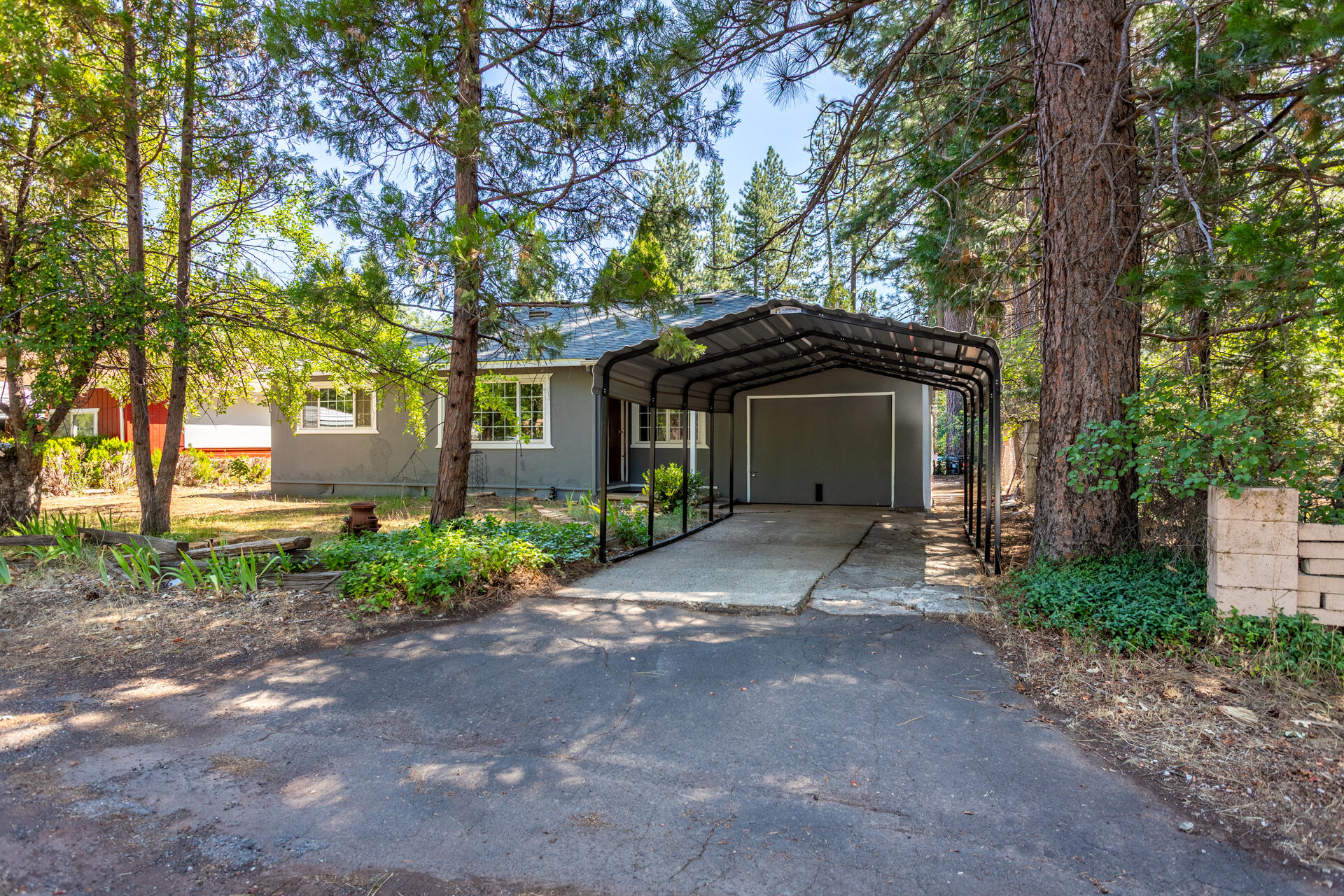 a view of a house with a tree and plants