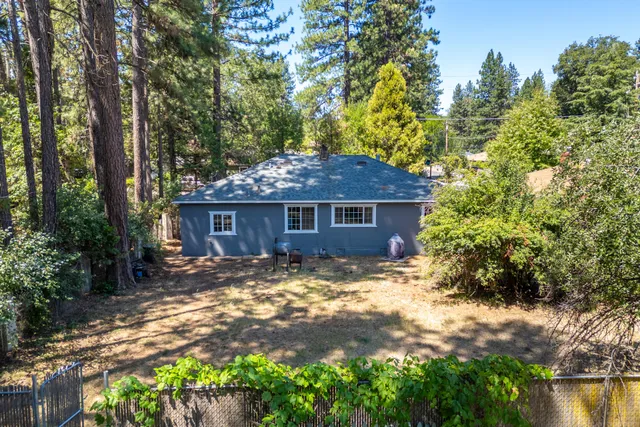 a view of a yard with plants and large trees