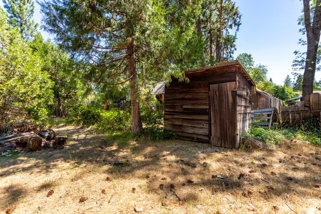 a view of a wooden house with a large tree