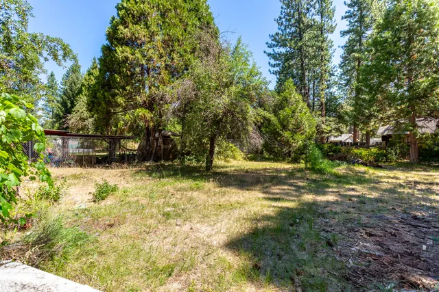 a view of a yard with trees