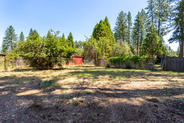 a view of a tree with a yard