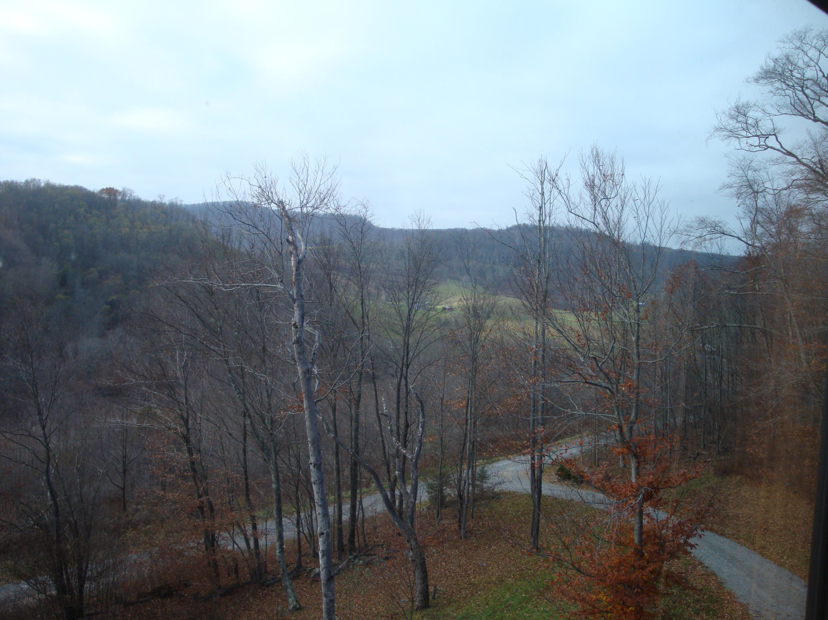 20 Fassifern Flds Road Slatyfork, WV 26291 - Photo 24 of 27 Gallery Image 24