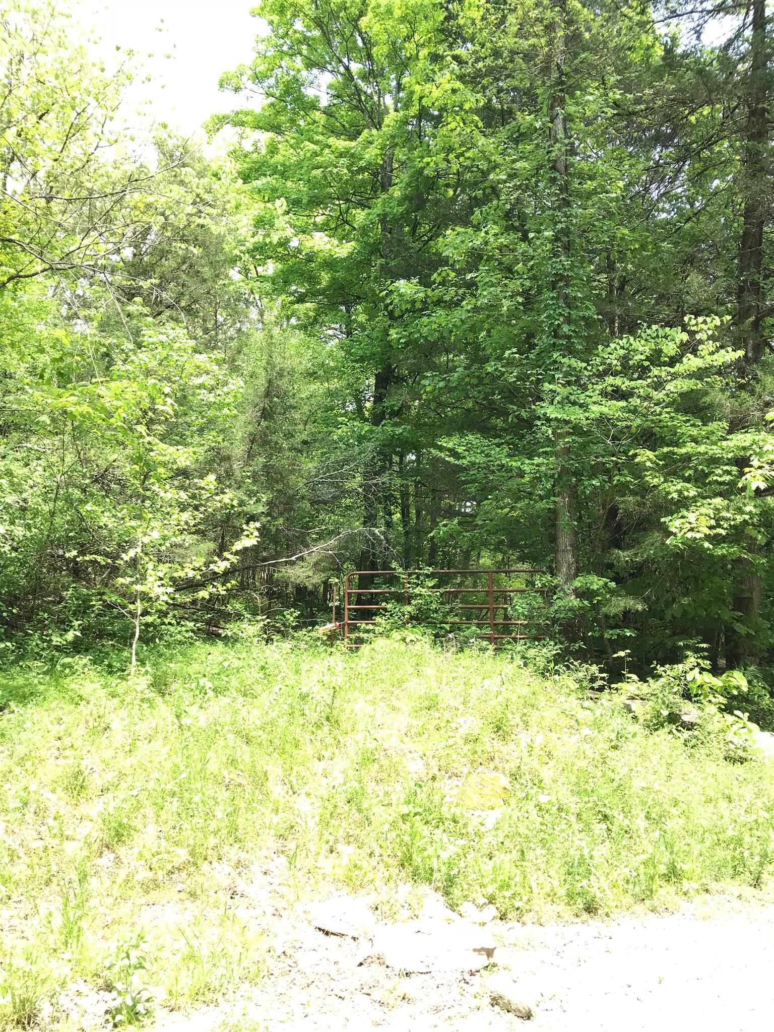 0 Cooper Branch Road Mulberry, TN 37359 - Photo 3 of 9 a view of swimming pool from a yard