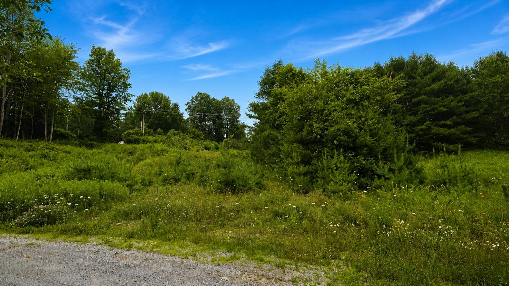 0 Lathrop Loop, Unit 7 Ludlow, VT 05149 - Photo 3 of 11