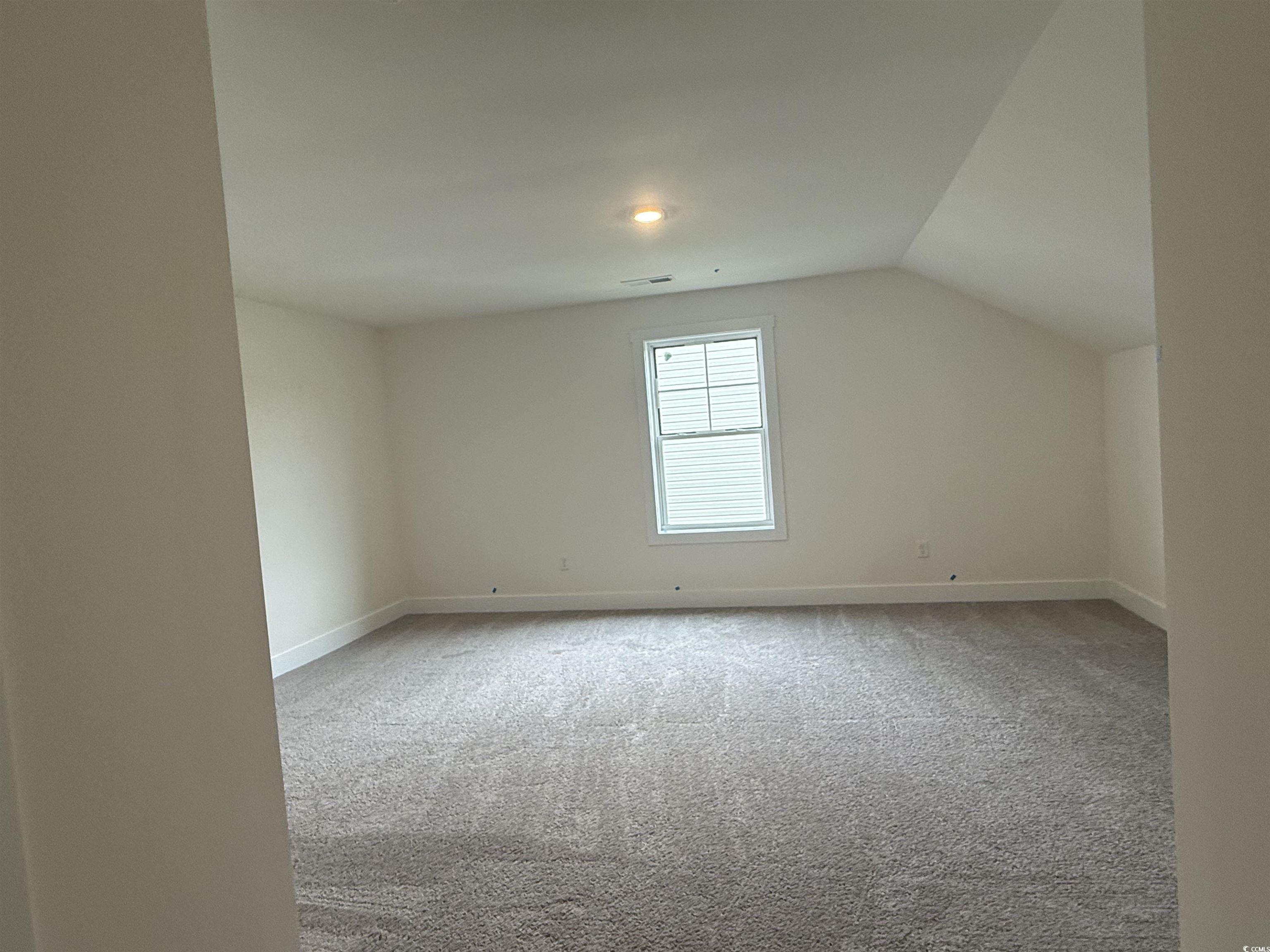 1045 Jase Drive Longs, SC 29568 - Photo 20 of 33 Additional living space featuring light colored carpet and lofted ceiling