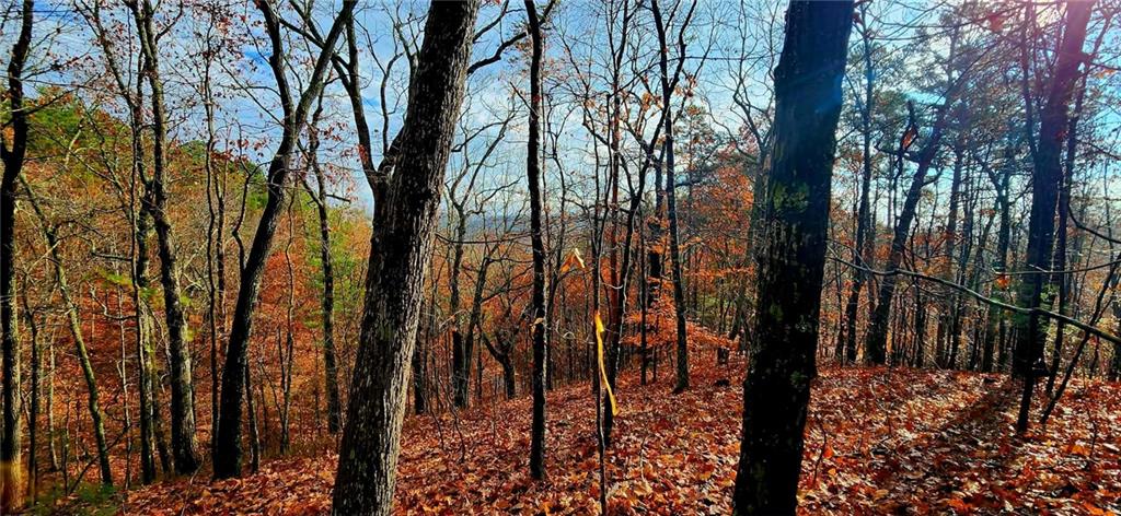 a view of outdoor space