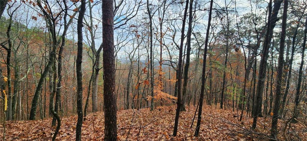 561 Parable Court Ranger, GA 30734 - Photo 2 of 10