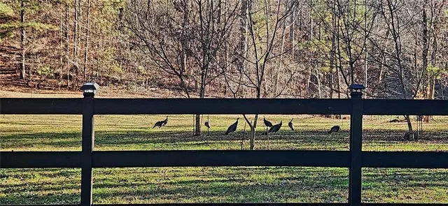 a view of a back yard