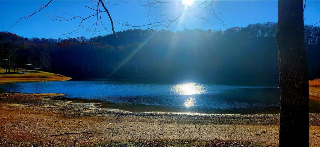 561 Parable Court Ranger, GA 30734 - Photo 8 of 10 a view of a back yard