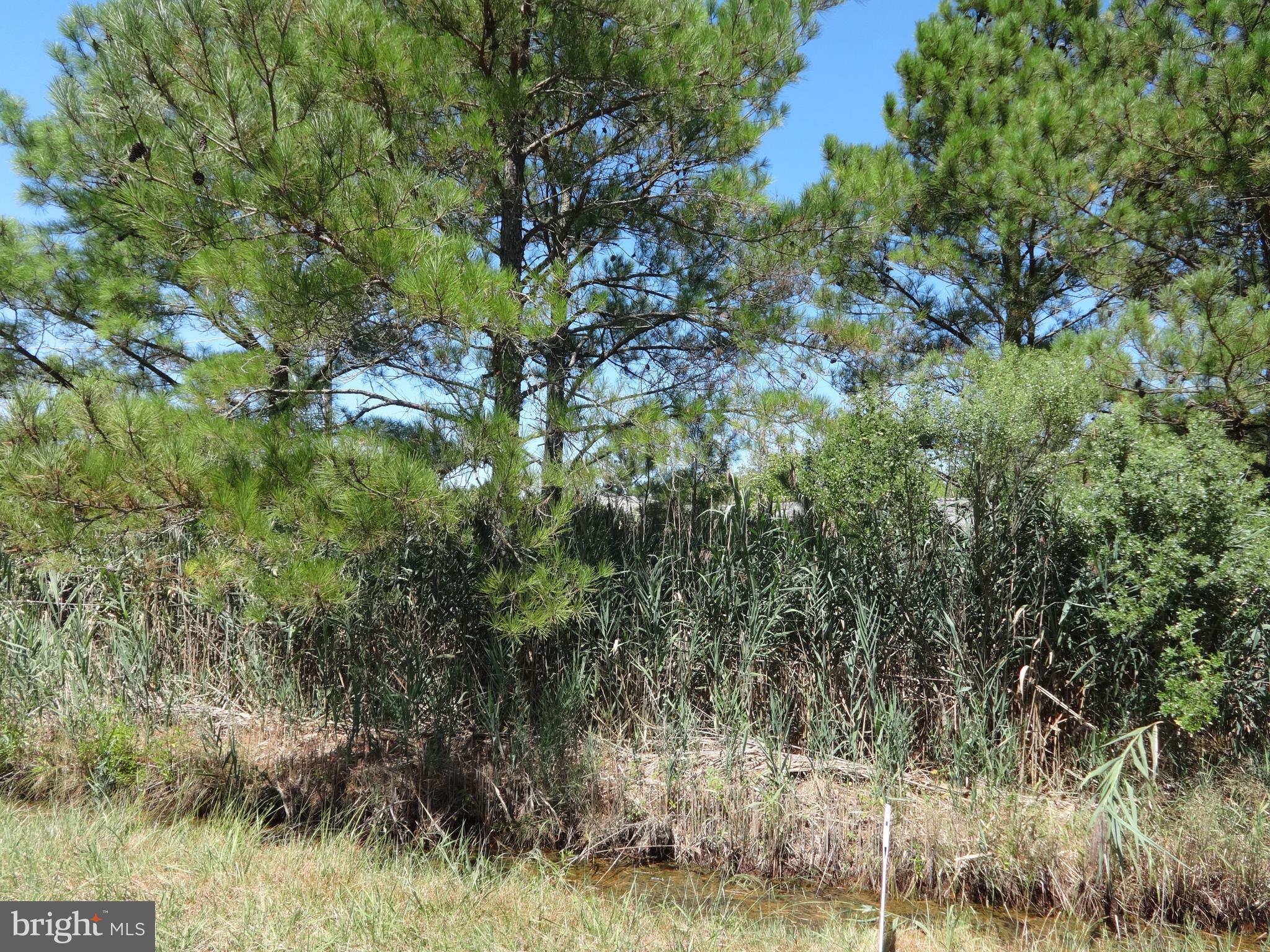 10788 Riley Roberts Road Deal Island, MD 21821 - Photo 1 of 2 Gallery Image 1