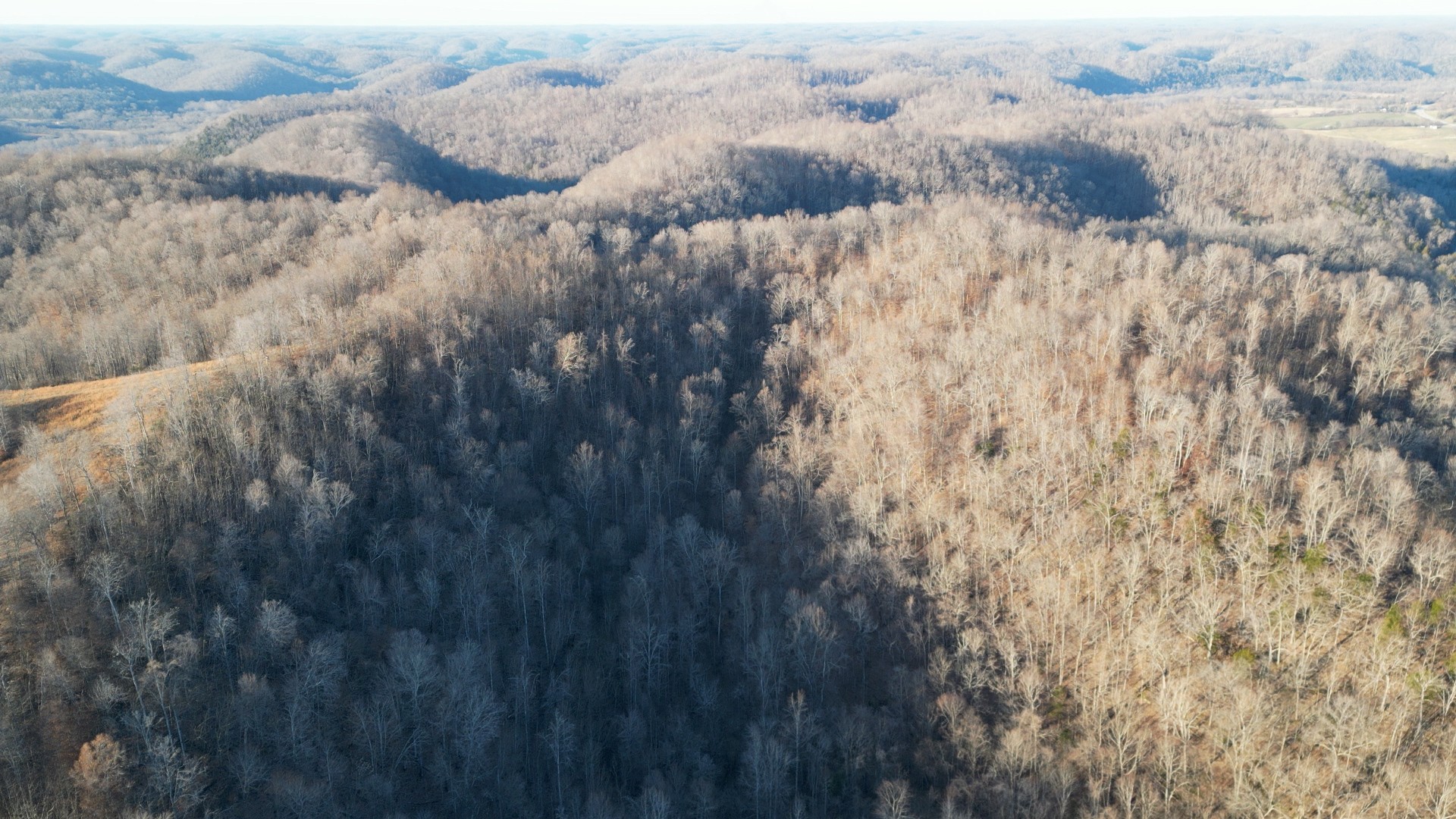0 Big Bottom Road Gainesboro, TN 38562 - Photo 6 of 8 Gallery Image 6