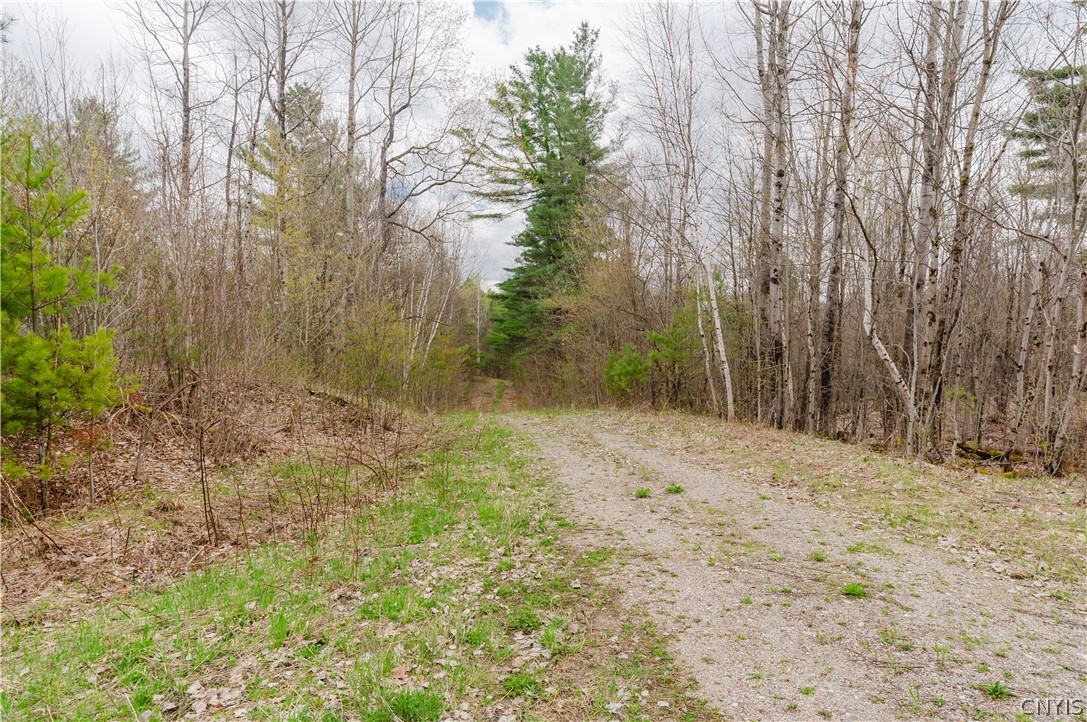 0 Bingo Road Edwards, NY 13635 - Photo 4 of 49