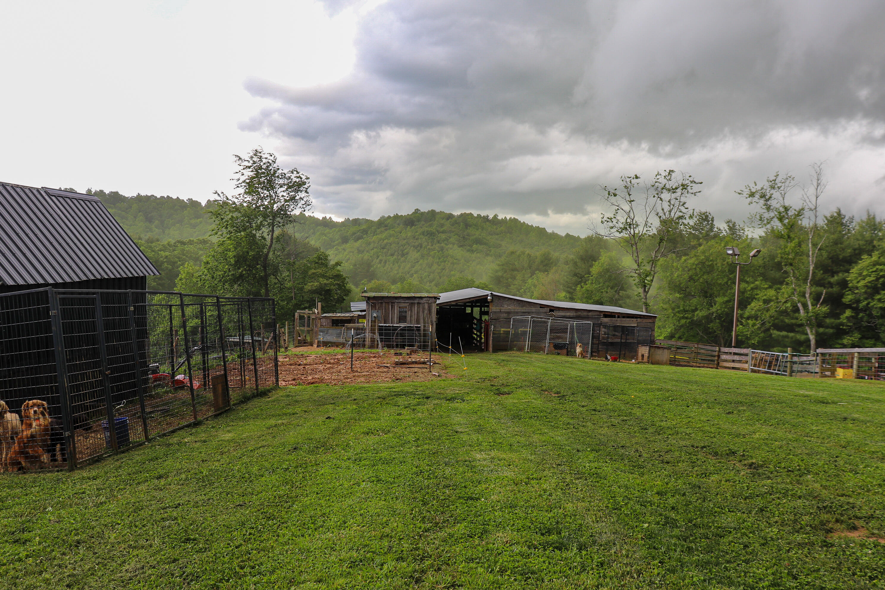348 Hall Hollow Road Northeast Floyd, VA 24091 - Photo 18 of 34 18