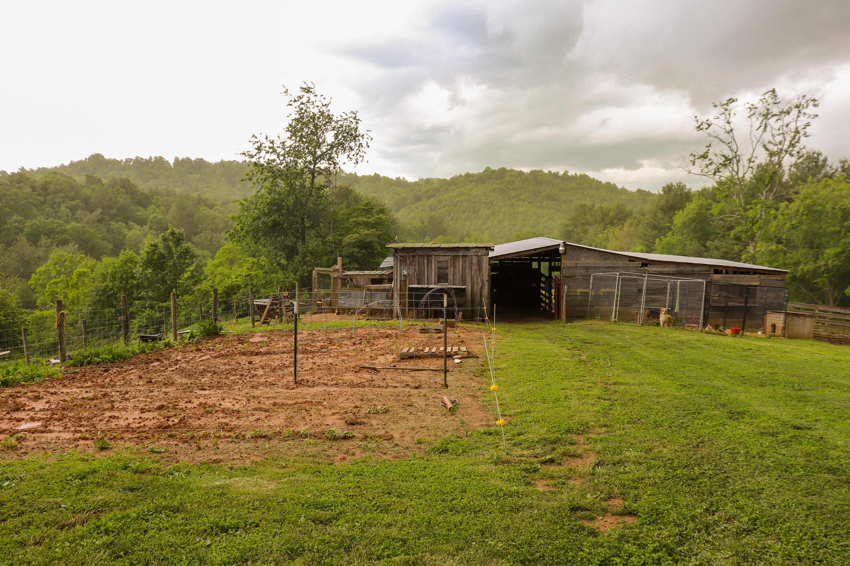 348 Hall Hollow Road Northeast Floyd, VA 24091 - Photo 19 of 34 19