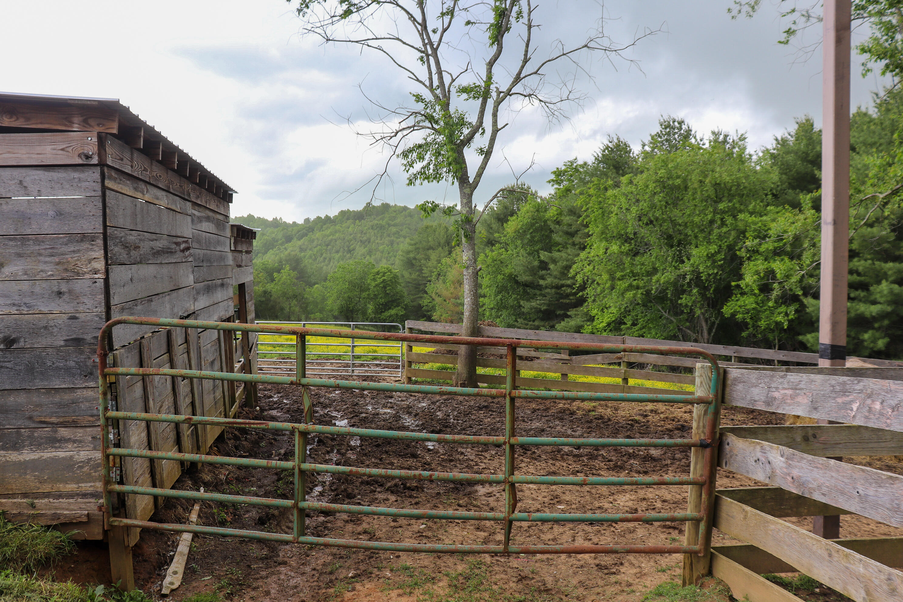 348 Hall Hollow Road Northeast Floyd, VA 24091 - Photo 23 of 34 23