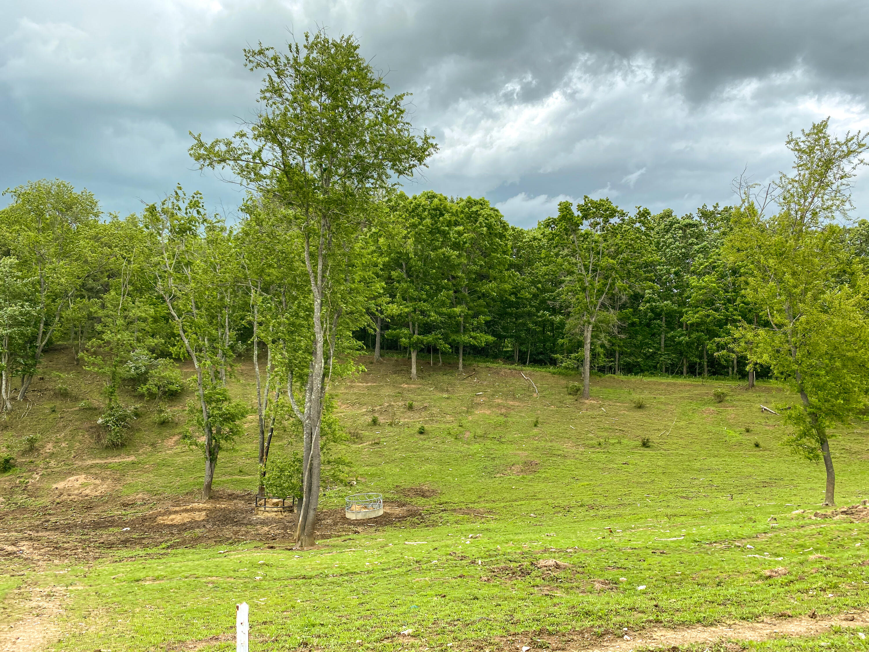 348 Hall Hollow Road Northeast Floyd, VA 24091 - Photo 28 of 34 28