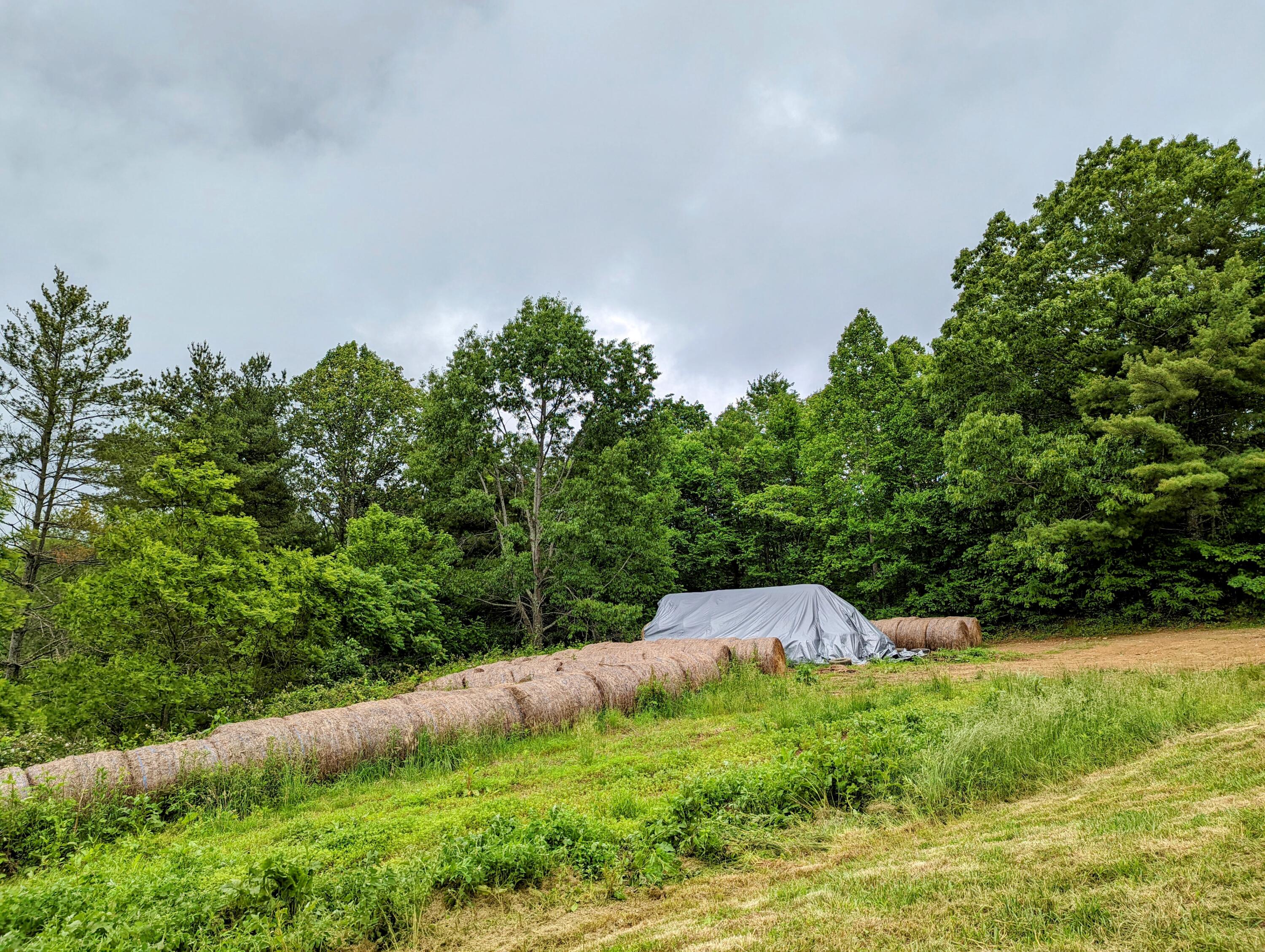 348 Hall Hollow Road Northeast Floyd, VA 24091 - Photo 31 of 34 31
