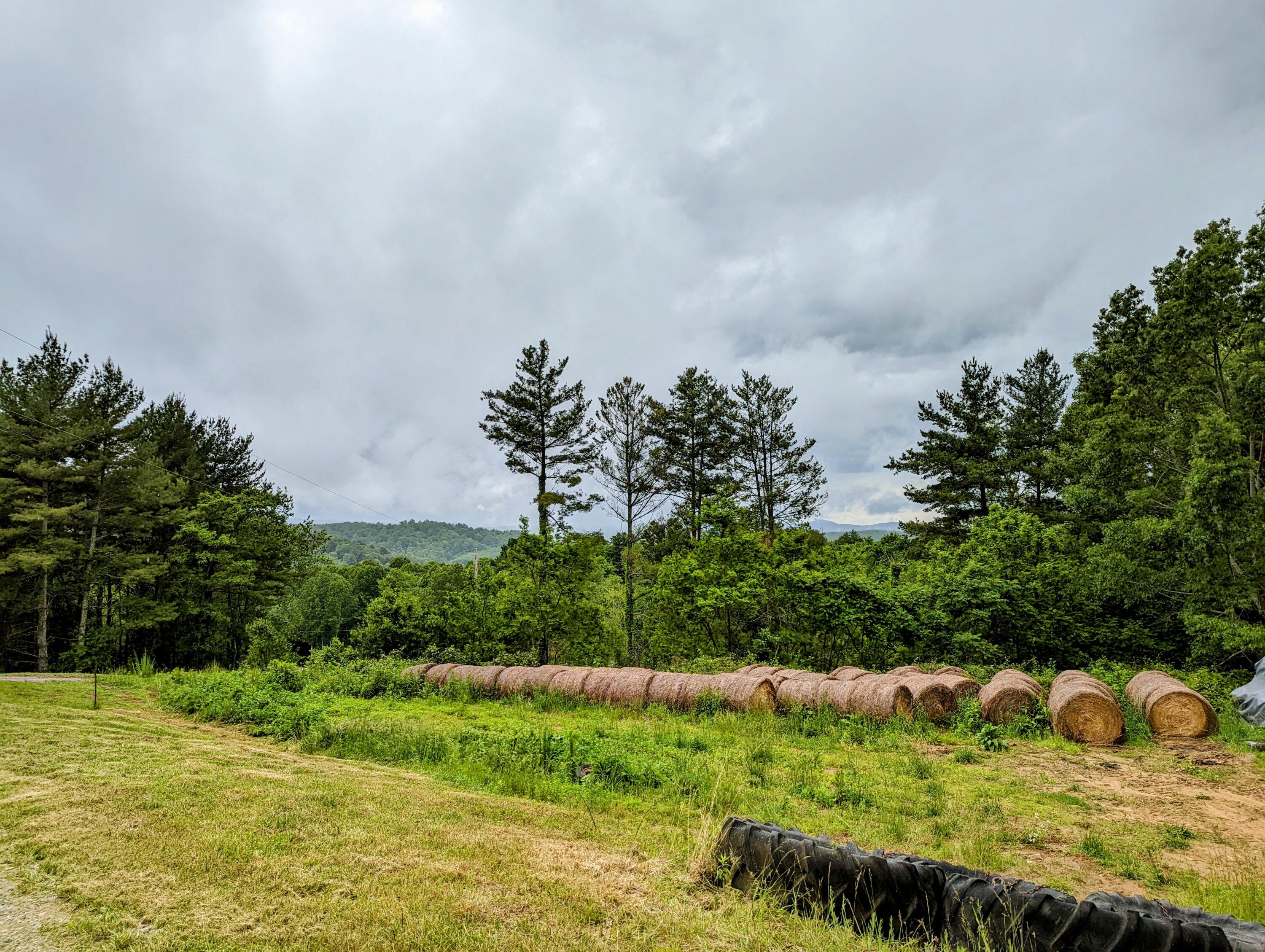 348 Hall Hollow Road Northeast Floyd, VA 24091 - Photo 32 of 34 32