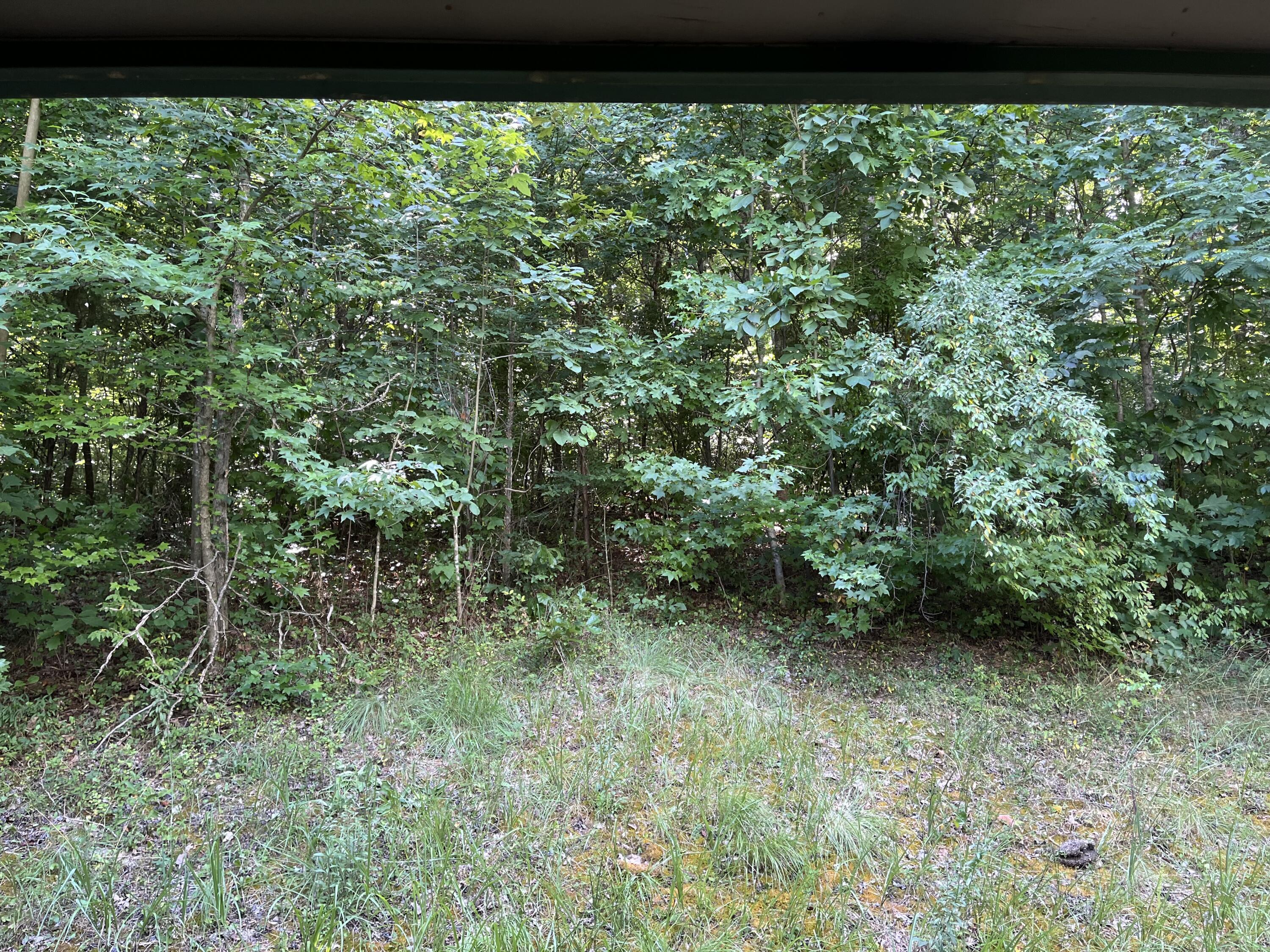 5212 McCahill Road Chattanooga, TN 37415 - Photo 15 of 16 IMG_0200