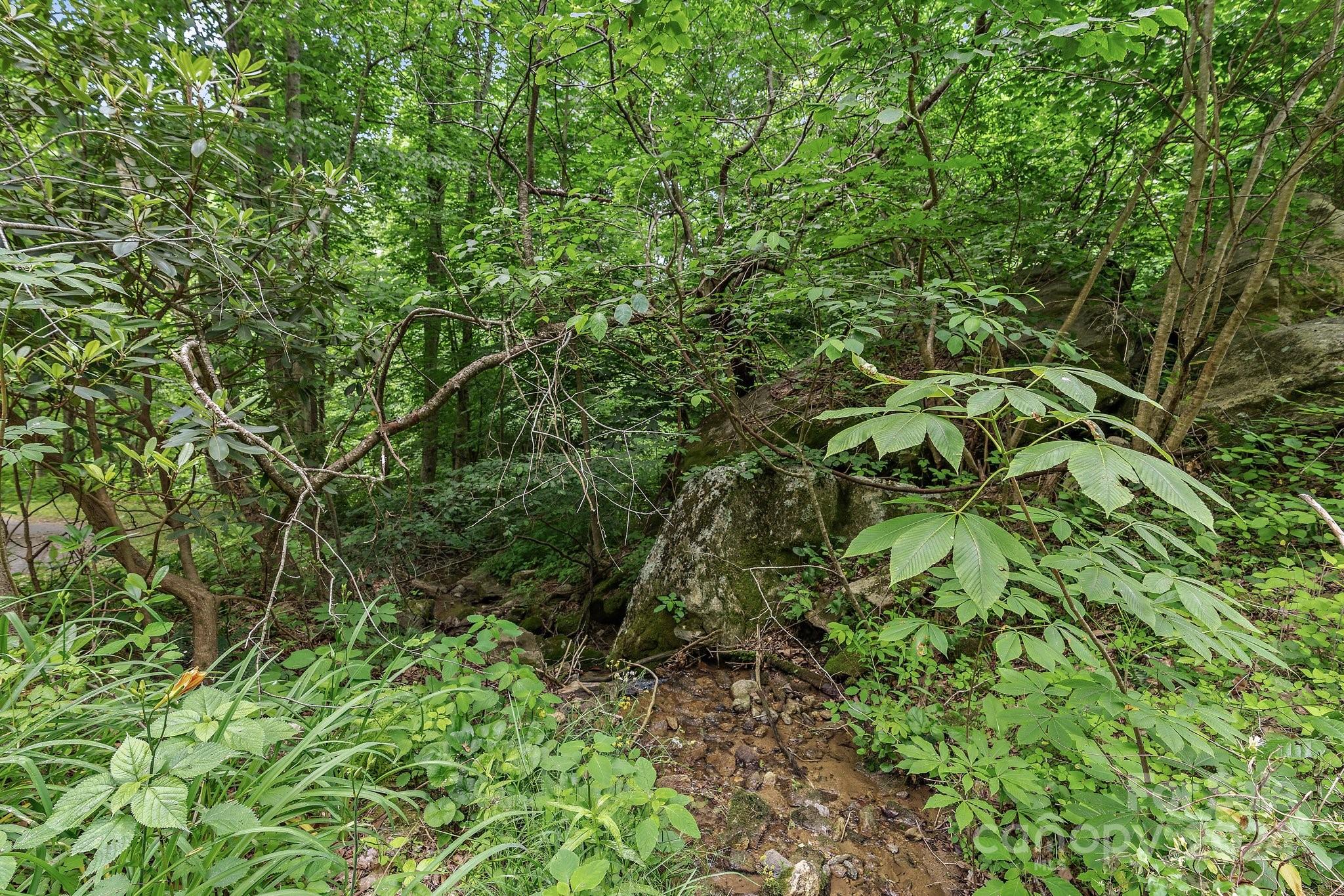 1085 Spillcorn Road Marshall, NC 28753 - Photo 29 of 48 Gallery Image 29