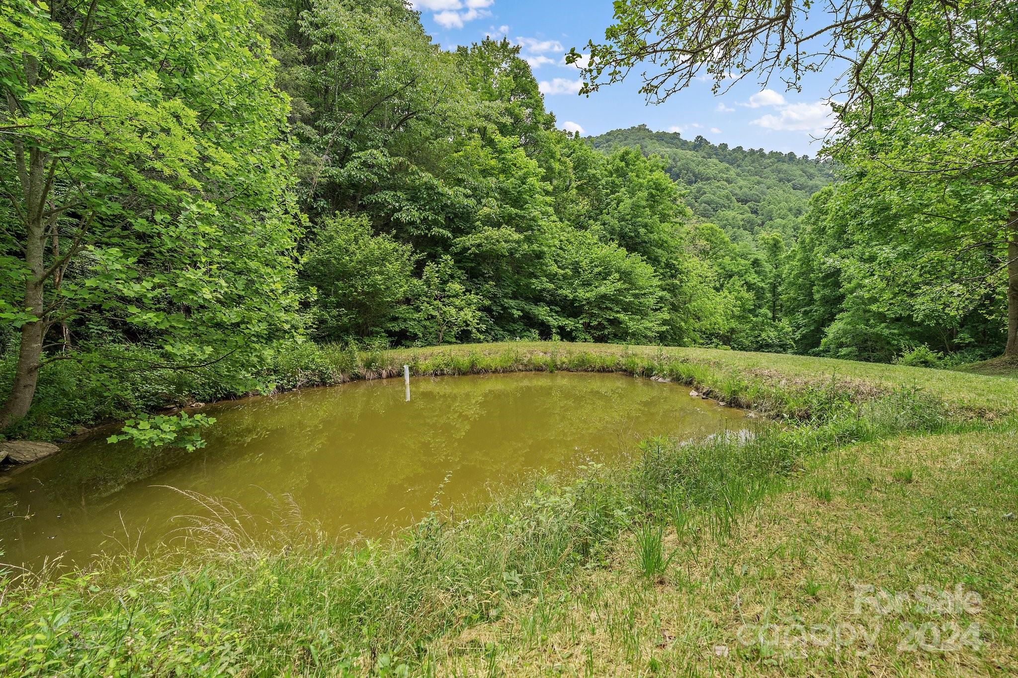 1085 Spillcorn Road Marshall, NC 28753 - Photo 33 of 48 Gallery Image 33