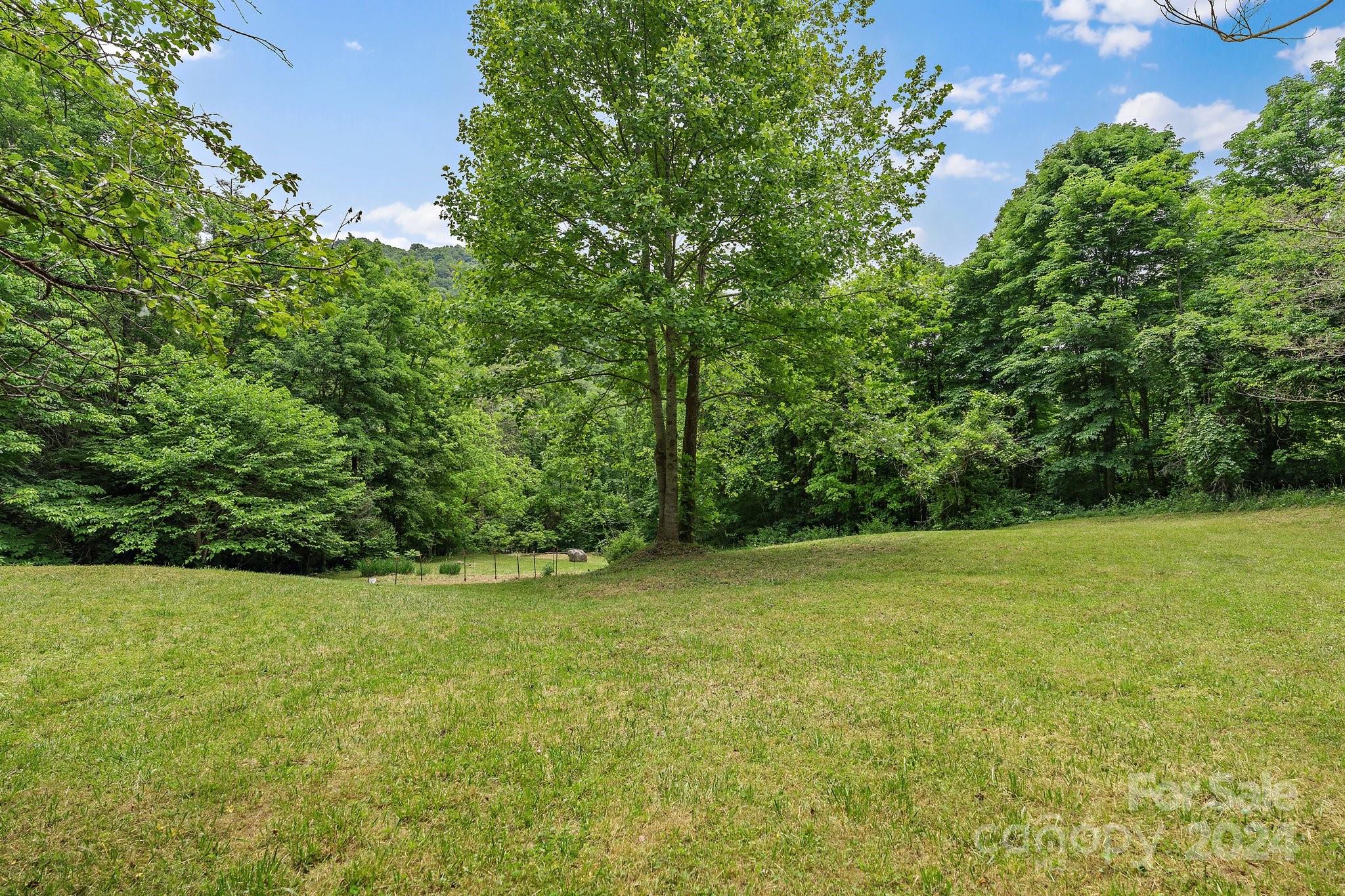 1085 Spillcorn Road Marshall, NC 28753 - Photo 34 of 48 Gallery Image 34
