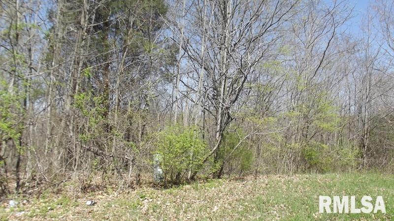 0 Rt 37 Buncombe, IL 62912 - Photo 2 of 2 Gallery Image 2