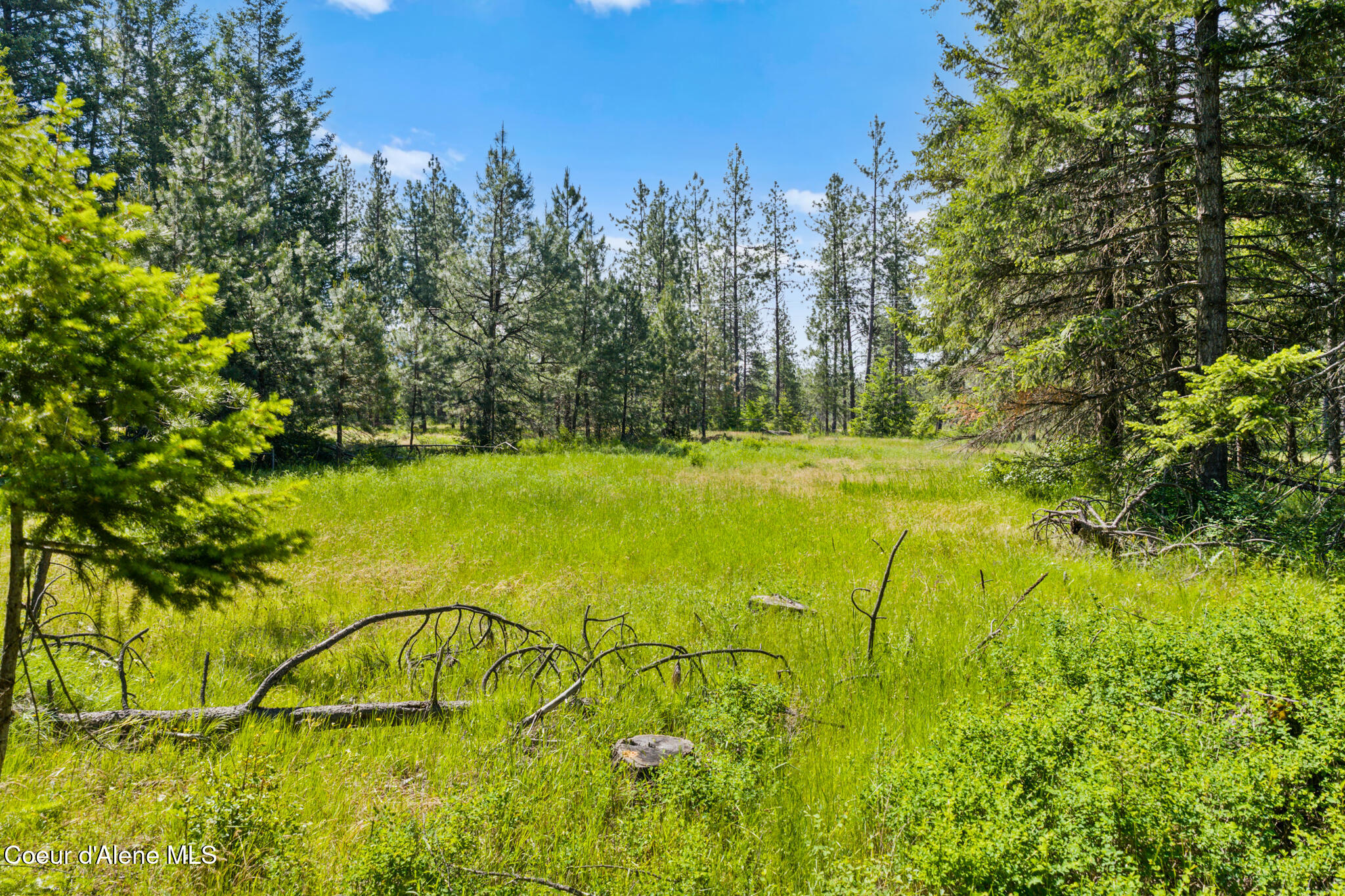 Nka East Rookery Road Hayden, ID 83835 - Photo 23 of 25 Wooded