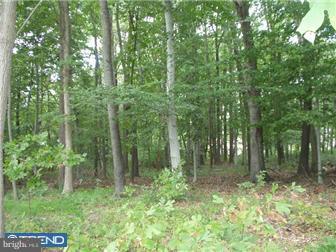 Lot 4 Telegraph Road Elkton, MD 21921 - Photo 3 of 3