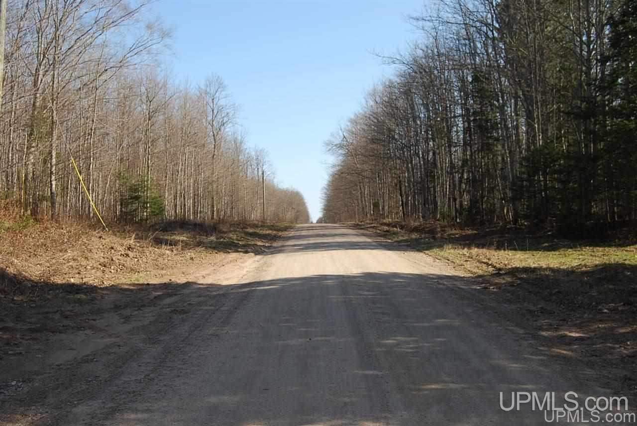 N3480 Ladoga Road Trenary, MI 49891 - Photo 29 of 33 Gallery Image 29