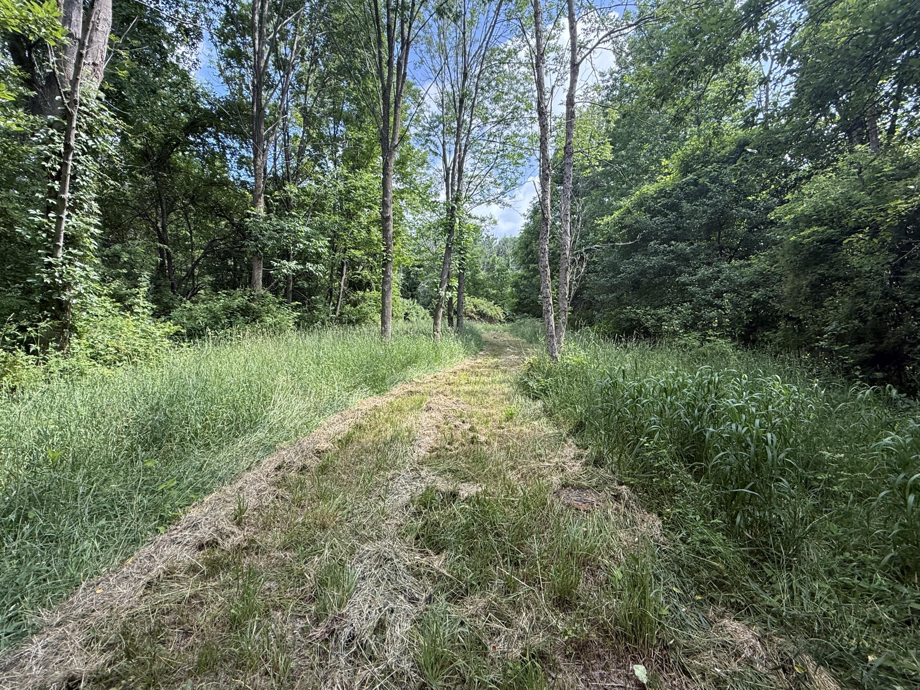 Hagerman Road Leonard, MI 48367 - Photo 28 of 51 o