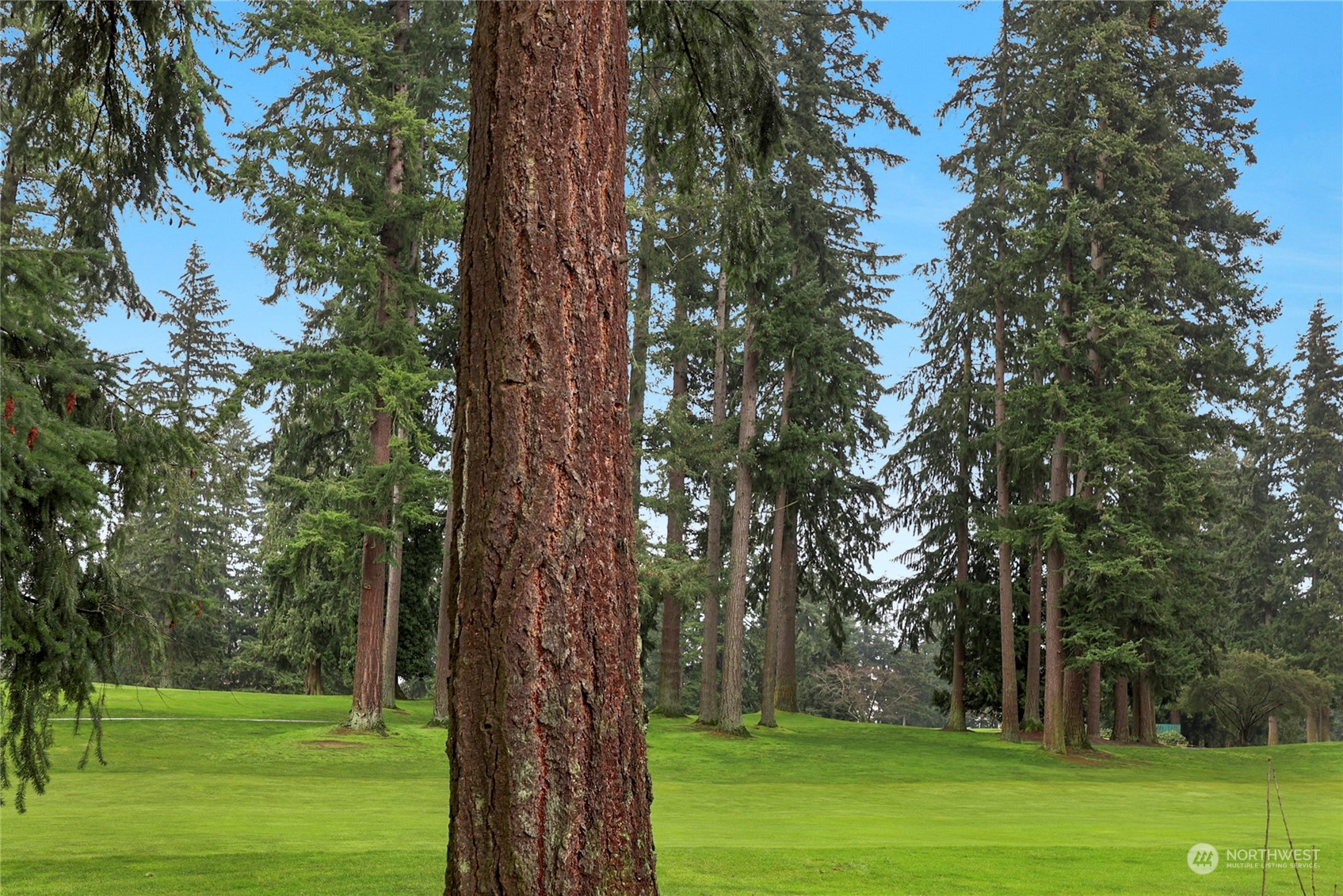 5719 Hwy Place, Unit 3 Everett, WA 98203 - Photo 21 of 25