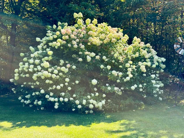 $399,900 | 1930 Flying Eagle Drive, Minocqua, WI 54548