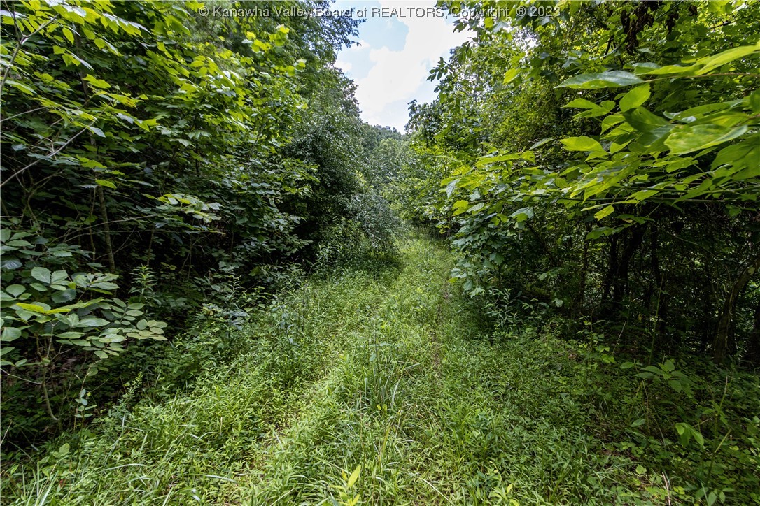 0 Hidden Farms Road Poca, WV 25159 - Photo 8 of 27 Gallery Image 8