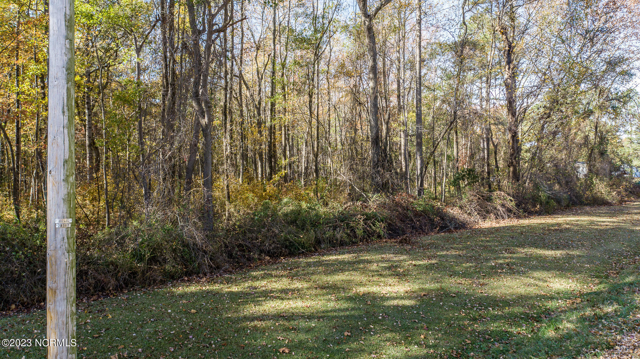 6033 Homestead Road Elm City, NC 27822 - Photo 19 of 20 6033-Roadside1