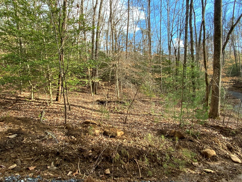 Lot 16 Ivy Log Road Warne, NC 28909 - Photo 4 of 16