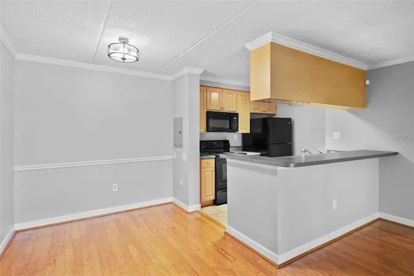 $1,999 | 108 Alameda Court, Unit 236, Tampa, FL 33609